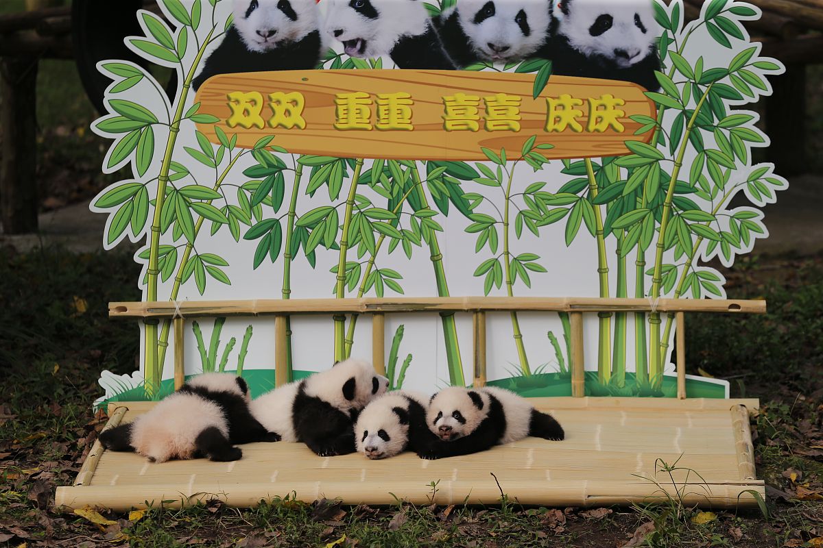 基恒名字寓意解析：稳定可靠，坚韧不拔
