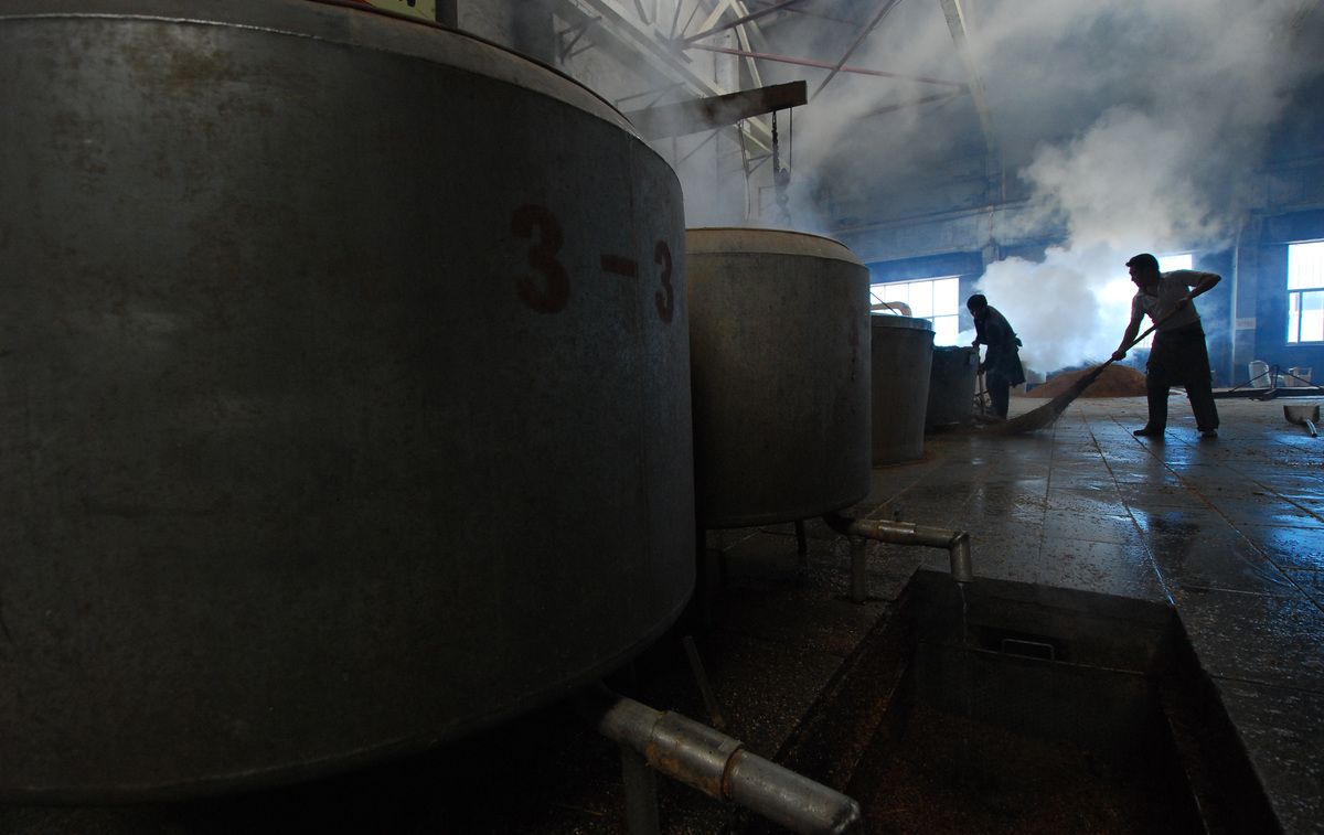 啤酒工艺实习收获：理论知识、实践技能与综合素质提升