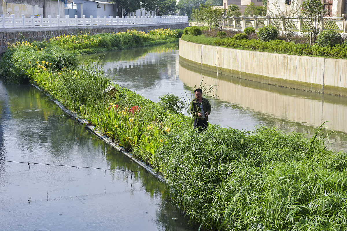 国内外水培增氧研究现状