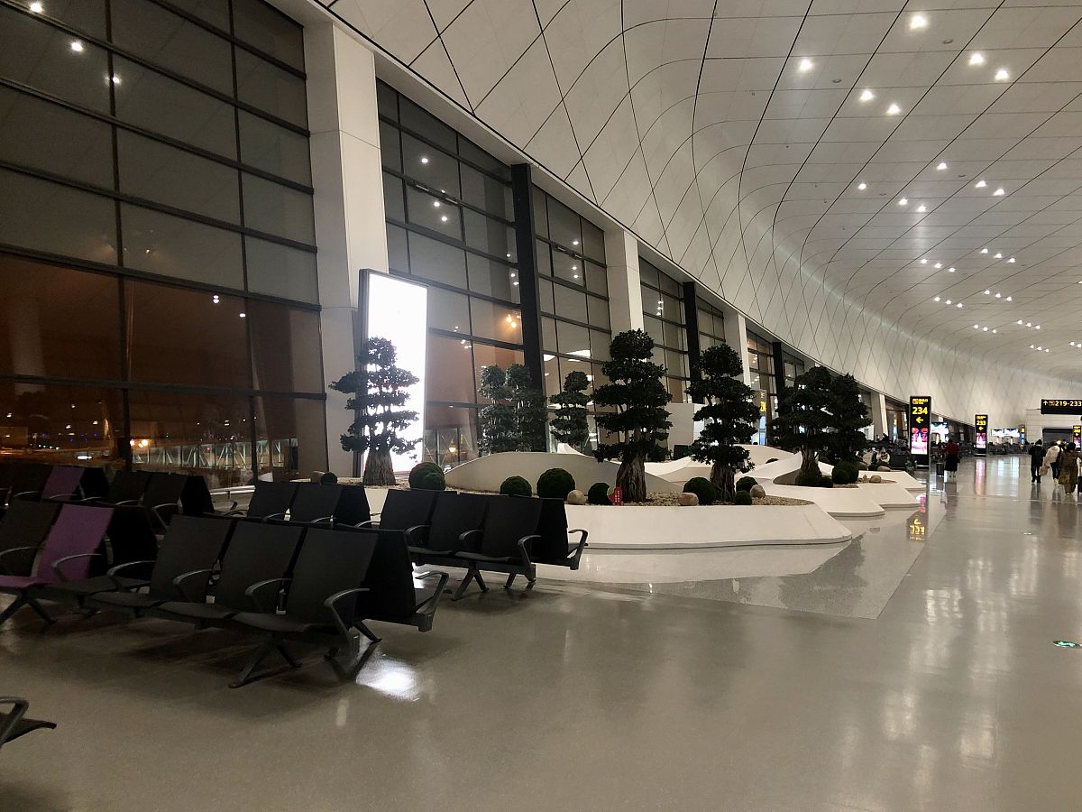 阐述：新郑机场的财务投资策略不完善投资可行性差800字