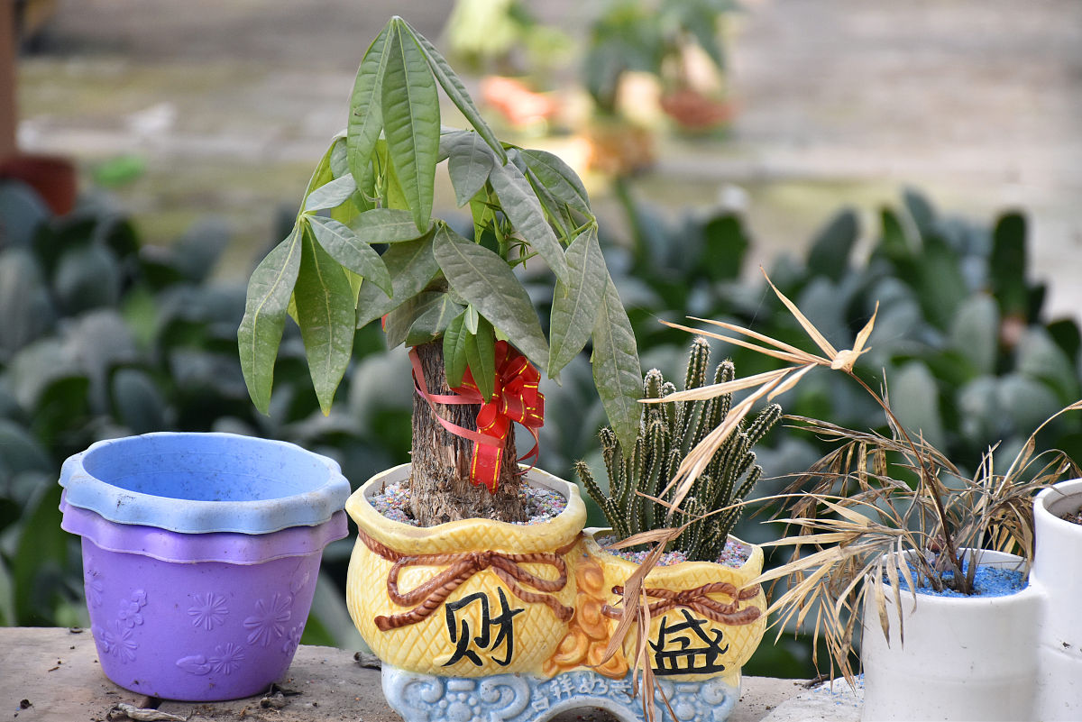 马克思与庄子隔空对话：探寻社会与自然和谐之道