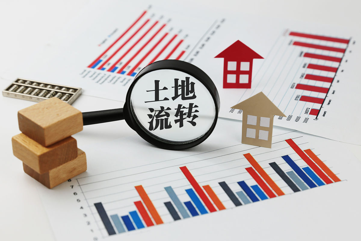 土地作价入股：将土地变现获取股权