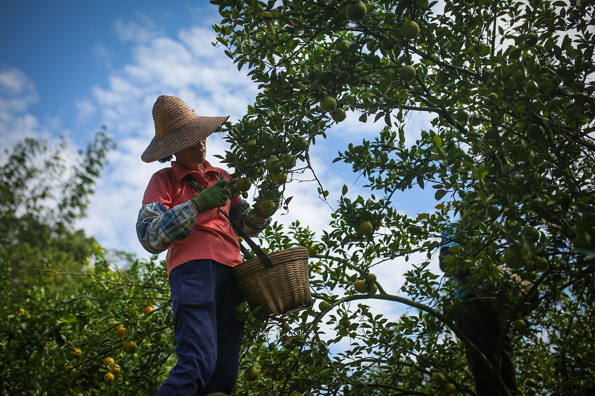 四川中专学校学费：费用、奖学金和兼职机会