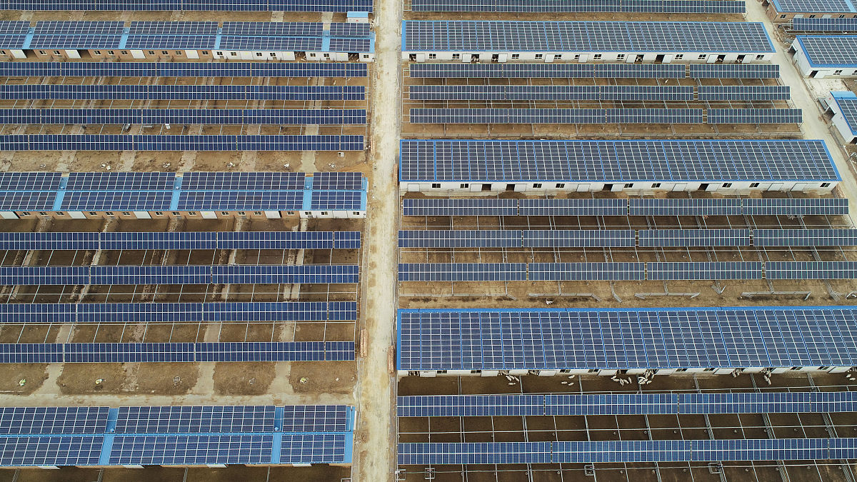 云南省曲靖畜牧养殖学校五年制大专招生专业：培养畜牧养殖行业人才