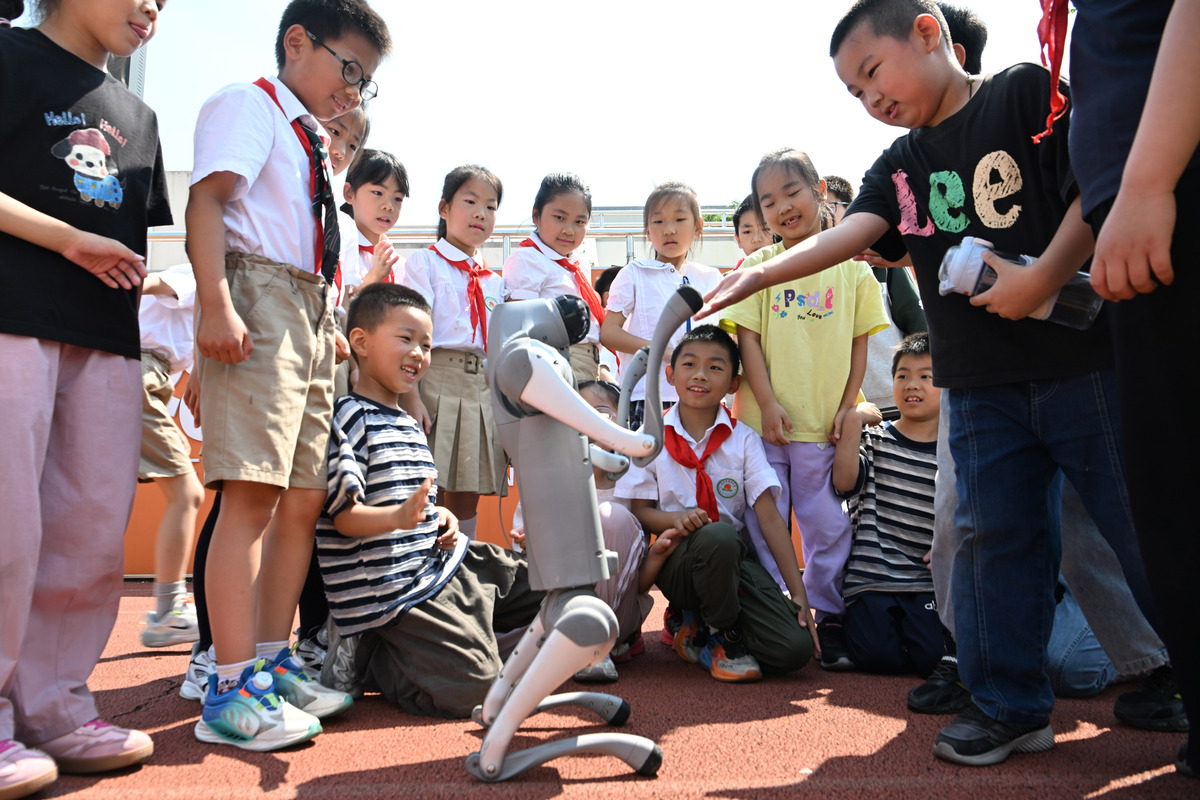 校园欢乐事：新鲜感与创意，点燃青春活力