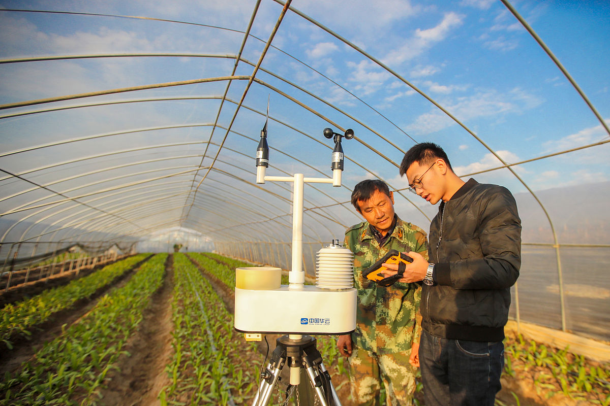 帮我优化一下这段文章病虫害检测作为农业信息获取的媒介农业数据是农业信息化的基础是实现农业现代化的核心要素和关键支撑也是我国智慧农业发展的卡脖子技术。在中国共产党第二十次全国人民代表大会报告中习近平总书记就以明确指出进产业数字化转型要加强农作物病虫害防治。针对科技兴农推动农业农村现代化《中央关于制定国民经济和社会发展第十四个五年规划和二0三五远景目标的建议》中明确提出加强农作物病虫害防治强化农业气象