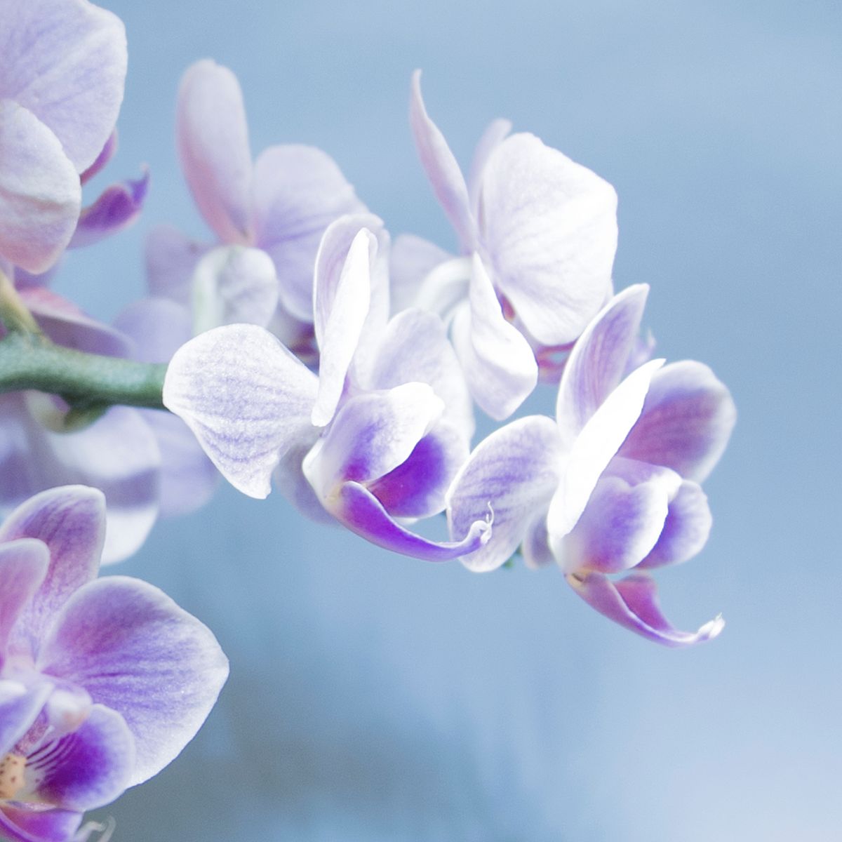 四川托普计算机职业学校艺术设计与制作专业好不好学呢开设了哪些课程好不好