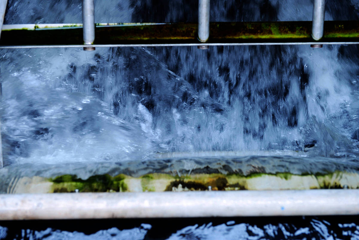 农村生活污水治理项目招标公告