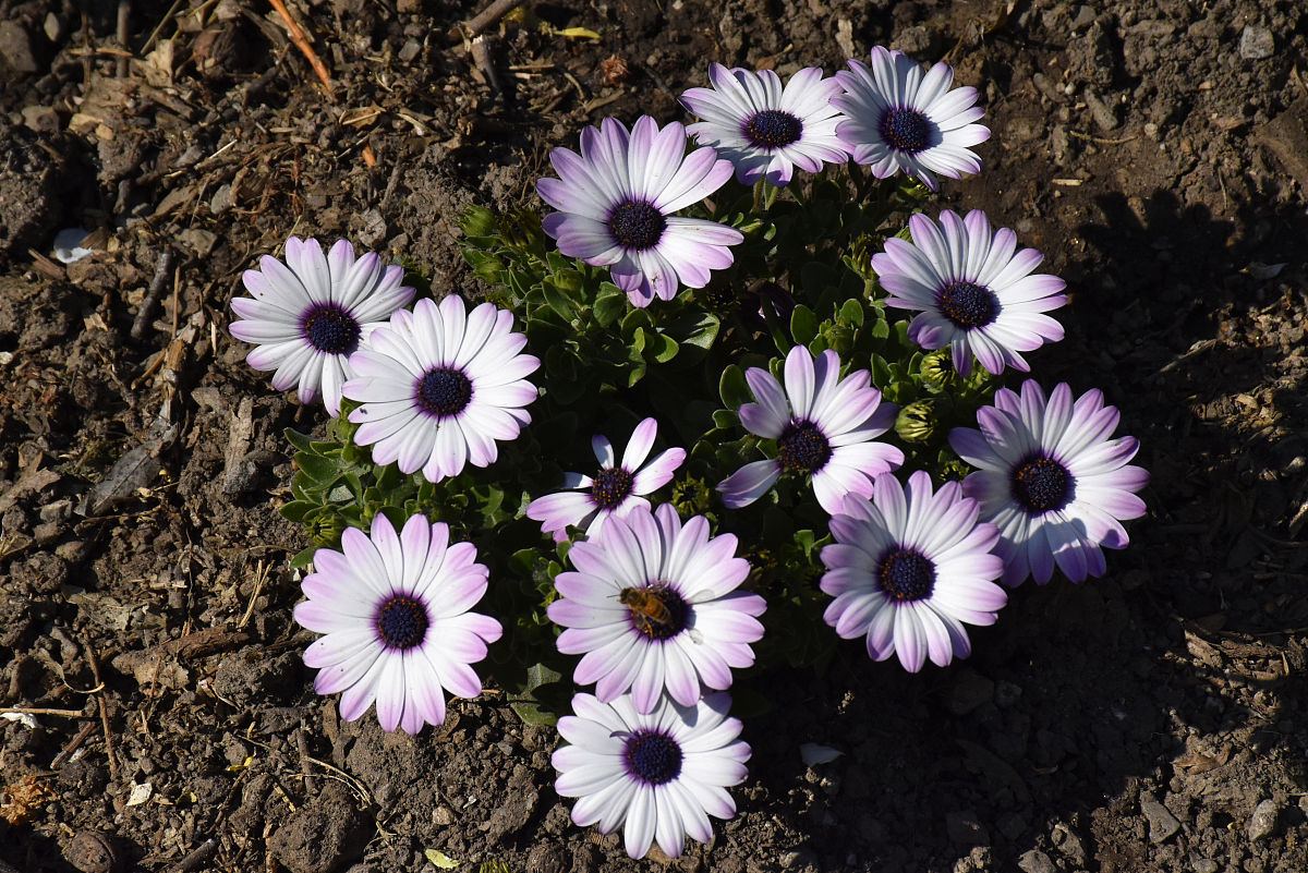 简阳市机电工程学校2019年工程造价与预算专业招生简介