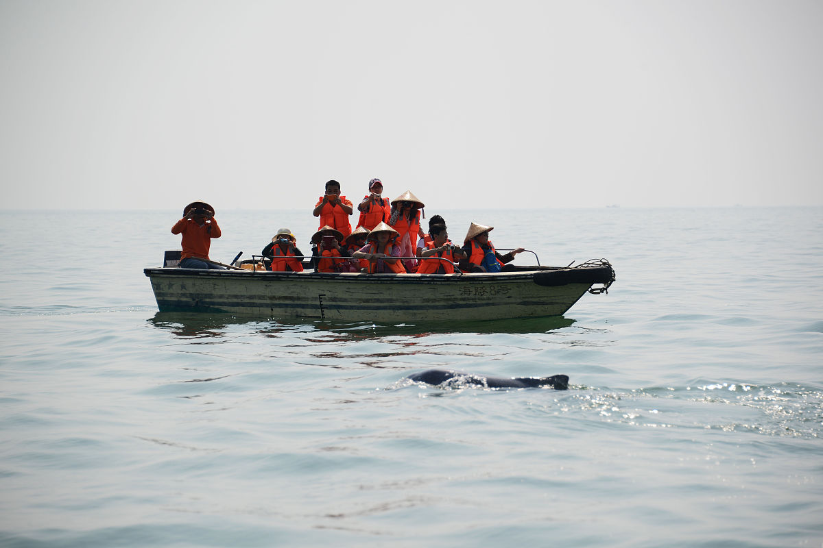 东华理工大学抚州师范学院专业设置及优势解析