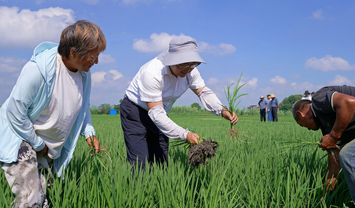 在粮食公司向员工宣传北大荒精神的社会实践活动总结。要求左右