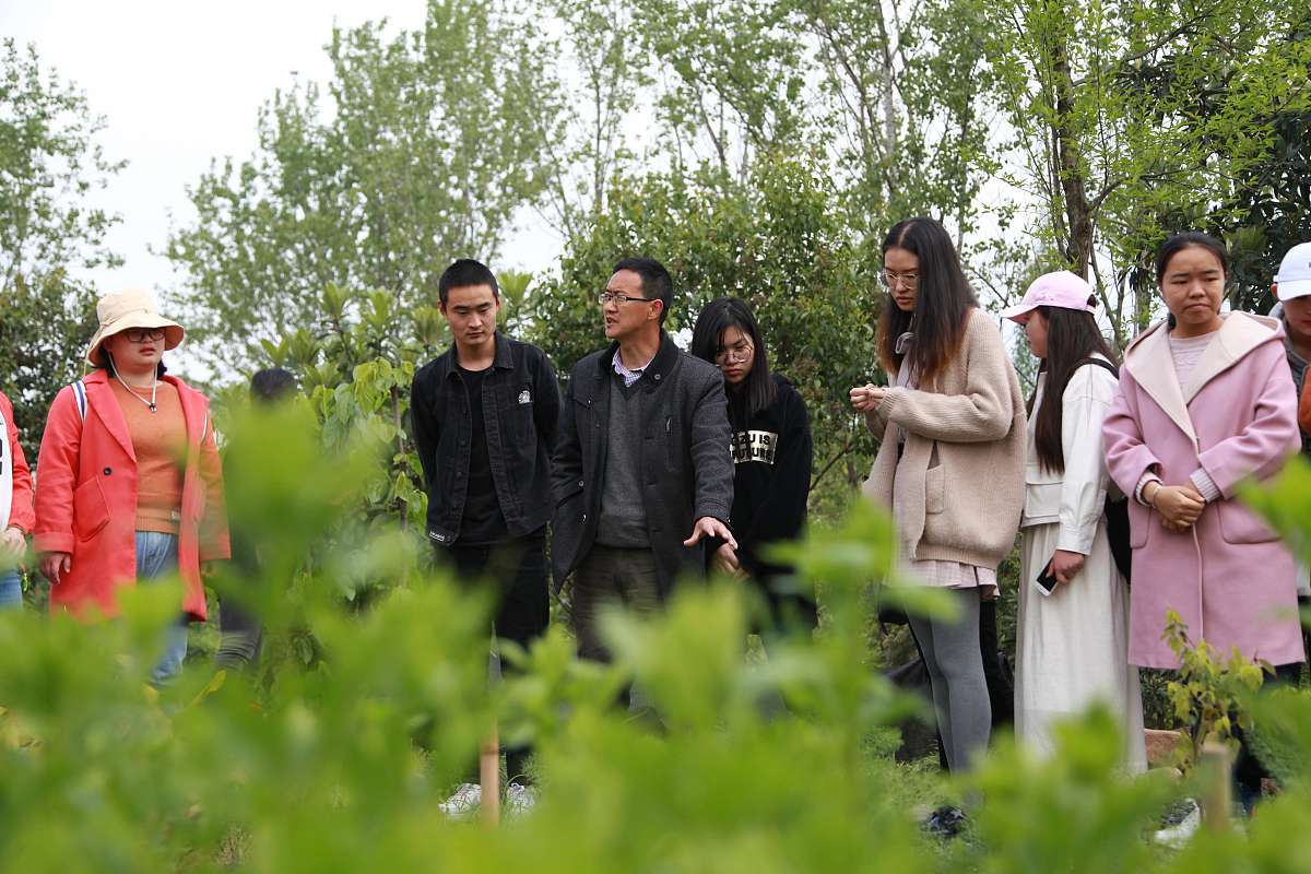 初中生学中药学专业：难度解析与学习建议