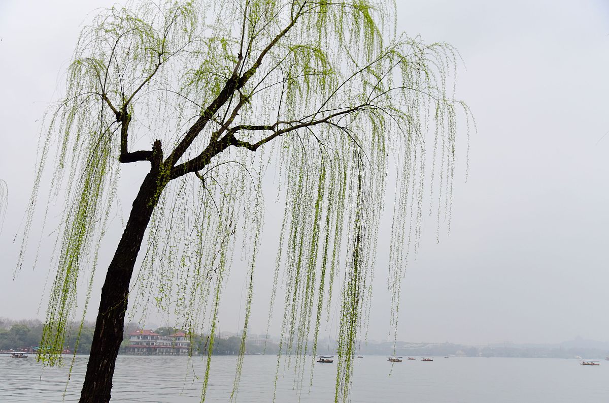 杭州西湖职业高级中学2022年招生专业好麽