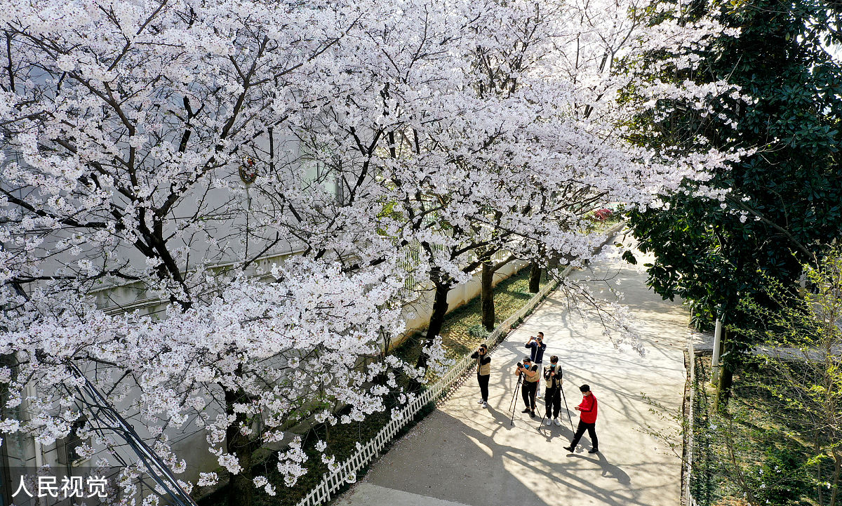 贵阳卫校与护理学校区别：培养目标与教学内容解析