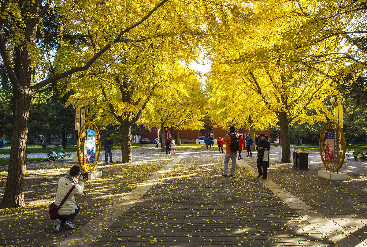 五一加班藏头诗：五一不放假，加班赛黄金