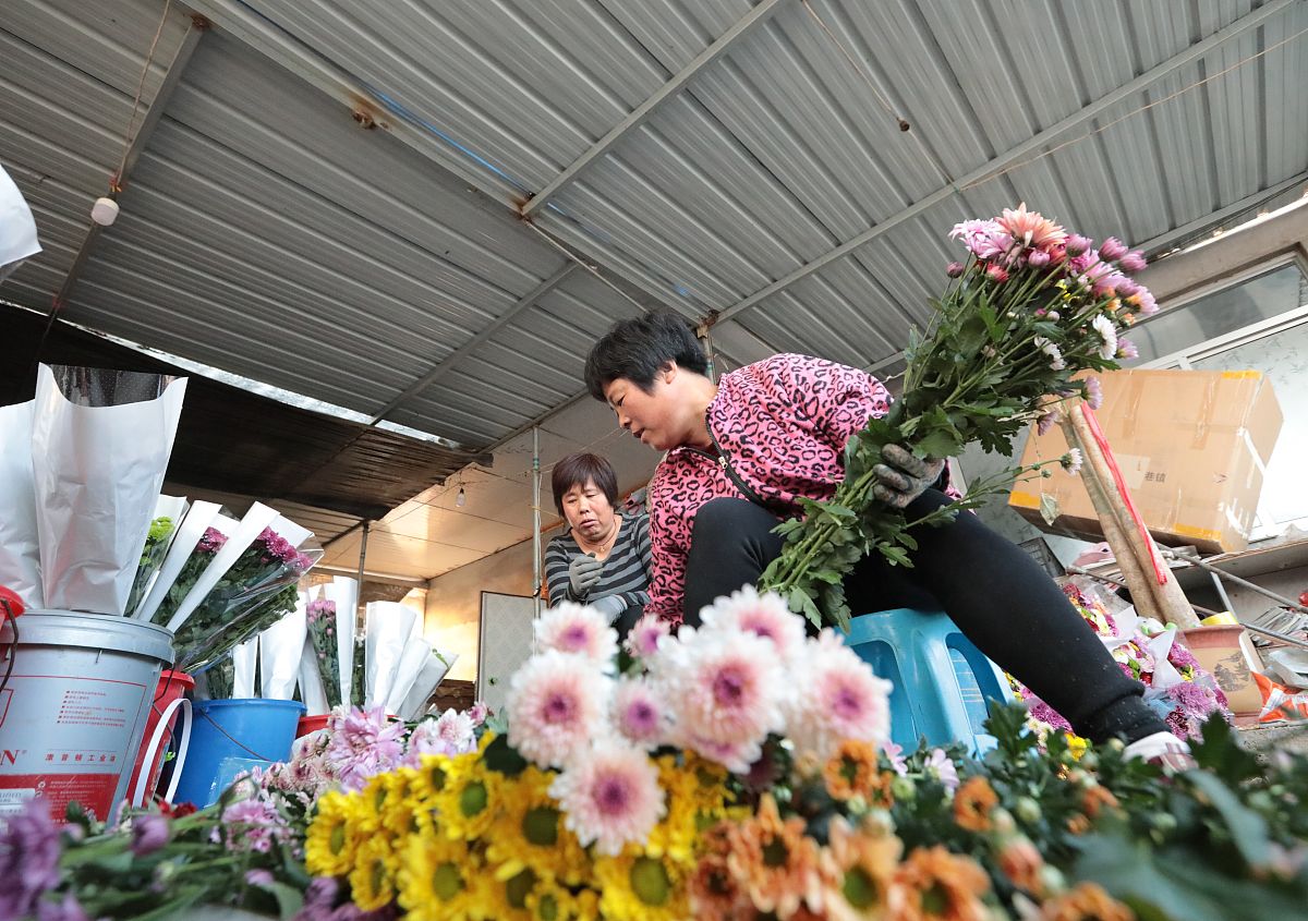 2019年11月14日,山东日照,鸿卉家庭农场的创始人范文峰和他花农们正忙