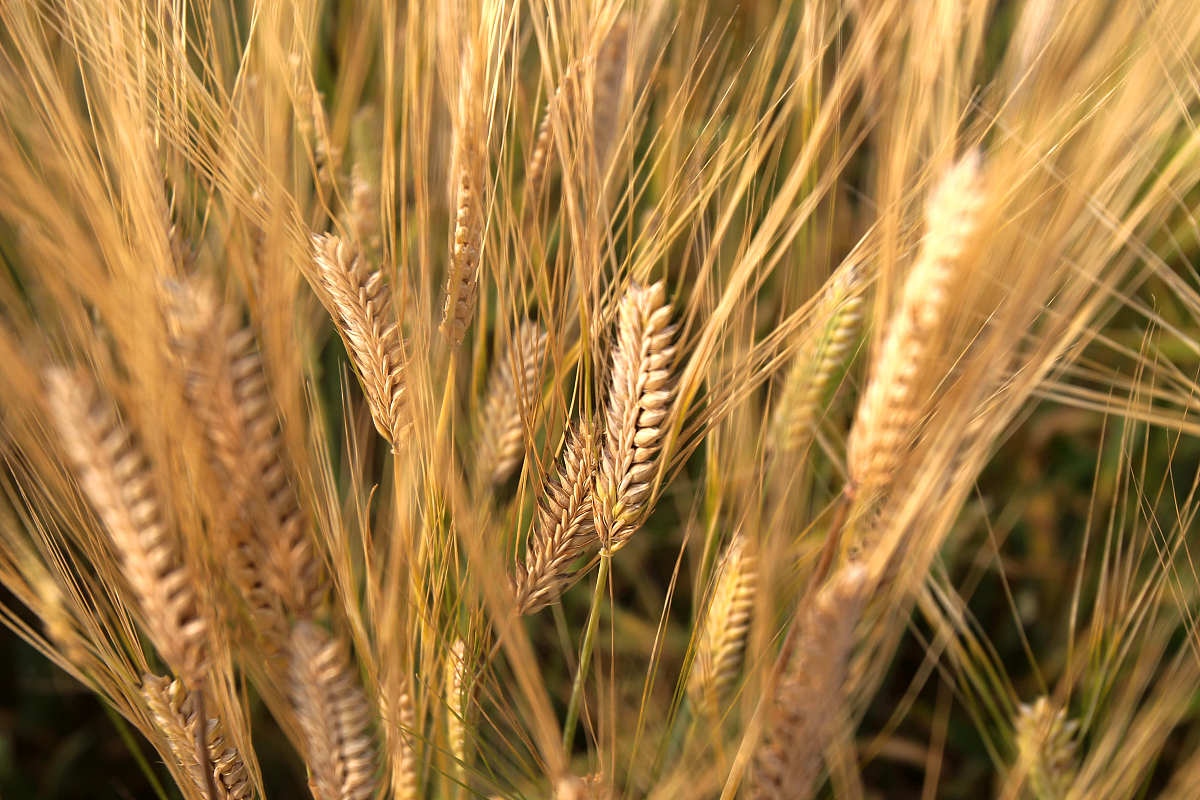 重庆农业学校物流服务管理专业怎么样？教学质量分析