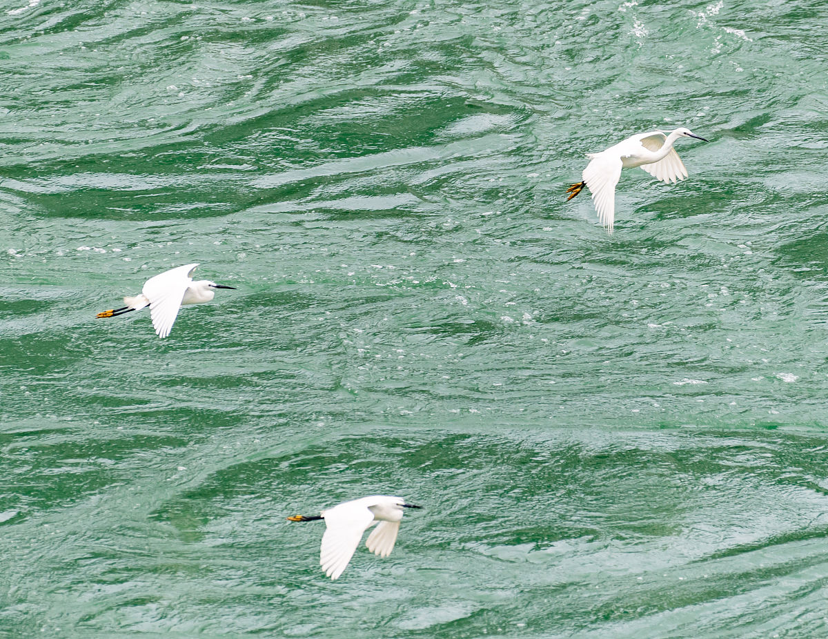 2023日照市海洋工程学校招生专业及相关信息 - 培养海洋工程领域人才