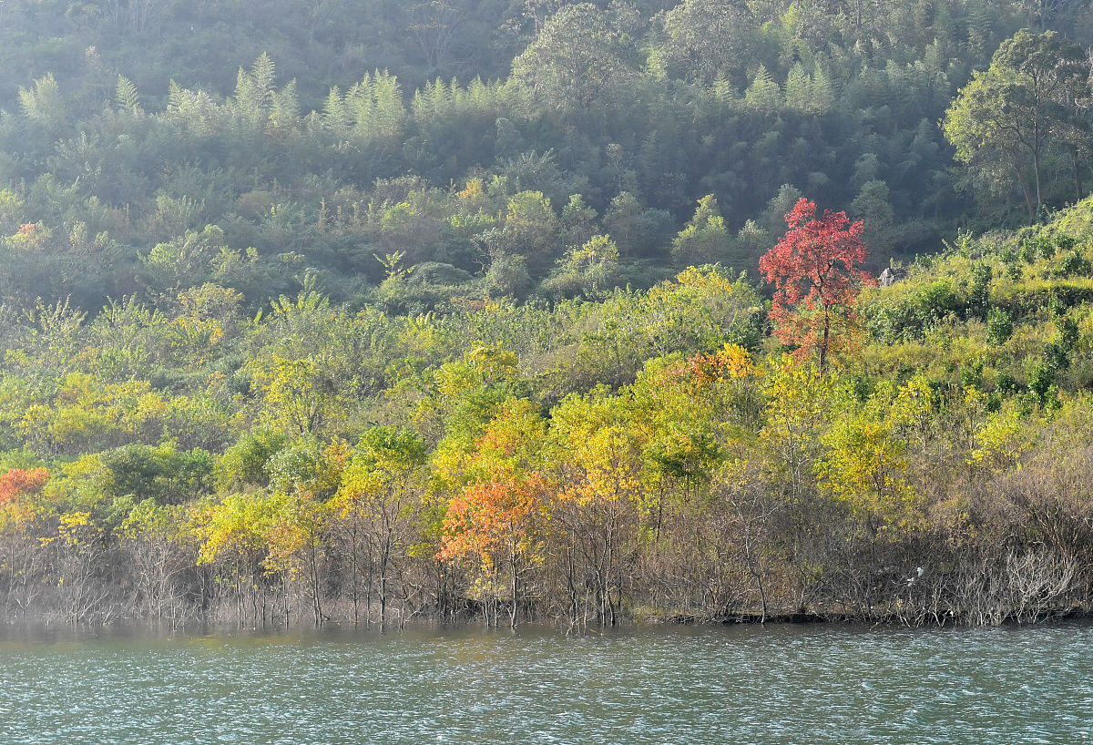 贵阳2021中专有计算机学校专业吗
