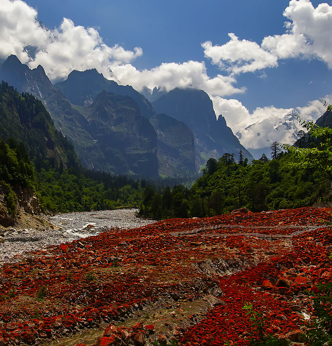 2021四川专科学校哪些比较好