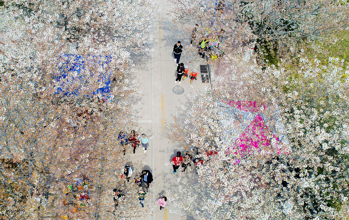 四平职业大学五年制大专有高铁乘务专业吗？ - 了解最新招生信息