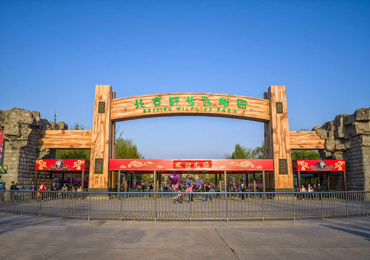 聊城动物园是国企吗回答+拓展
