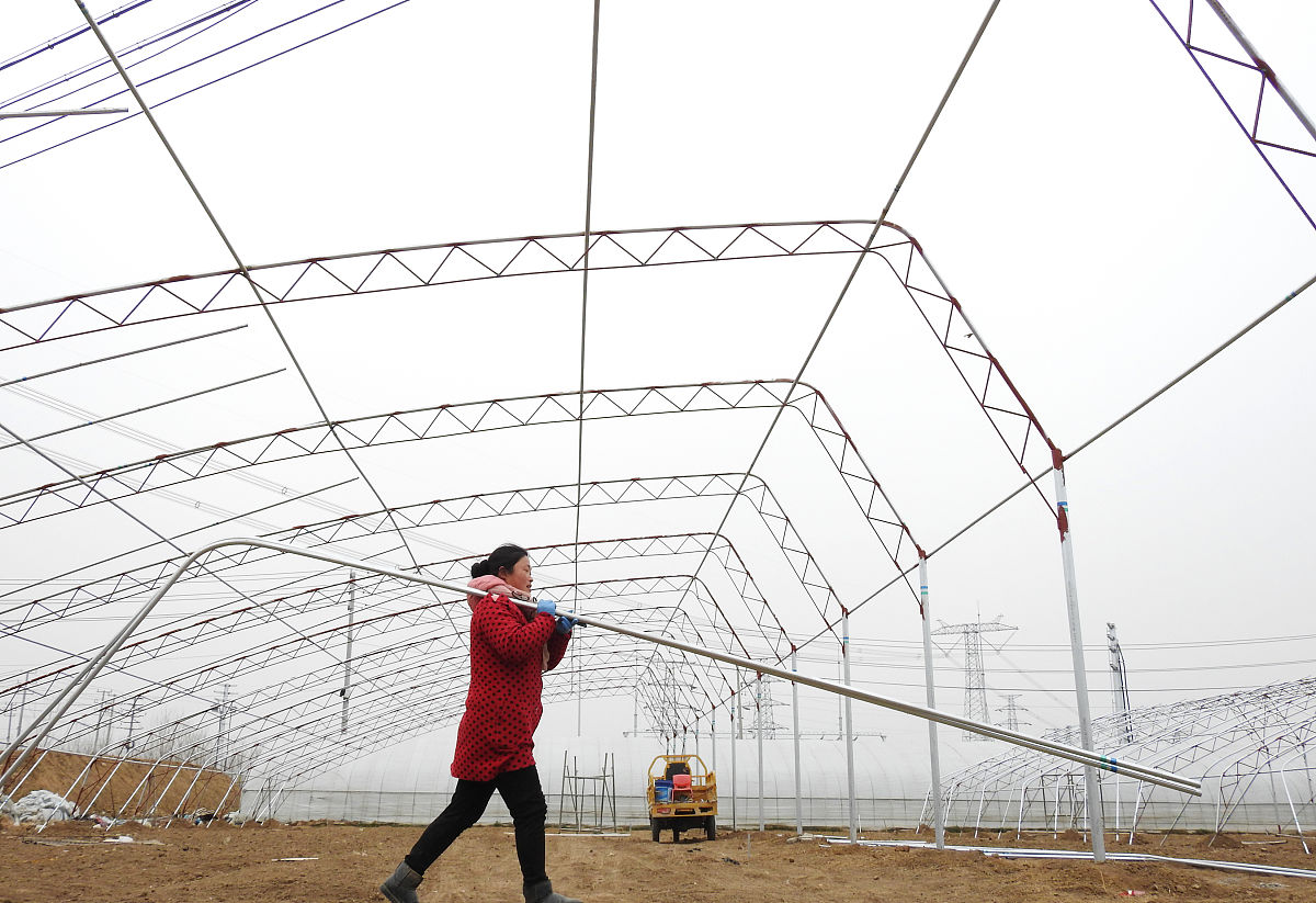 拱形农业大棚结构设计内力分析