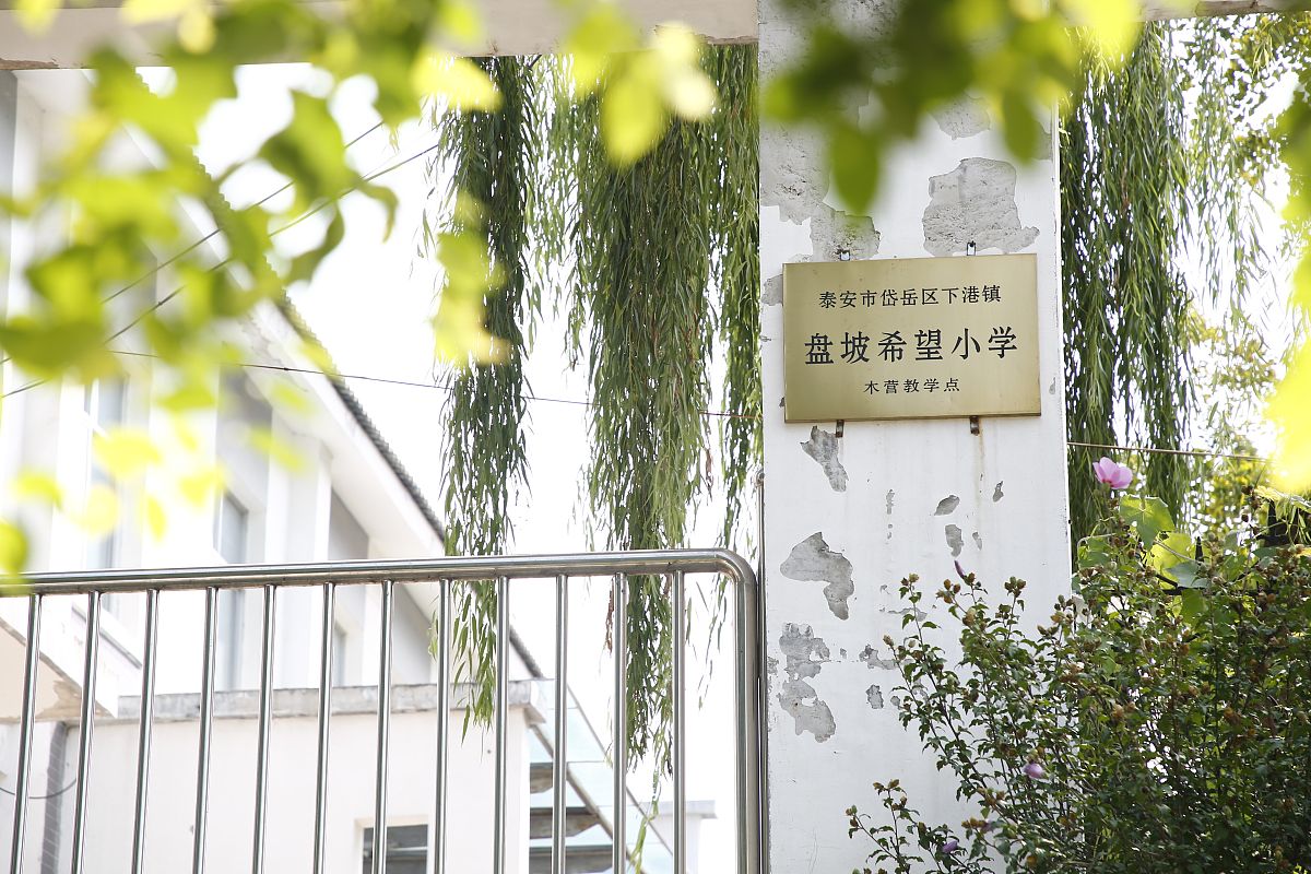 小学语文识字教学问题及对策研究