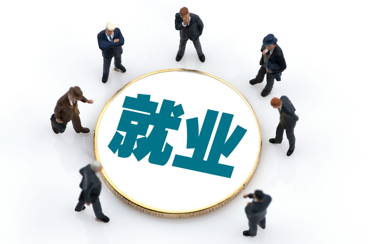 择业代理(择业代理)