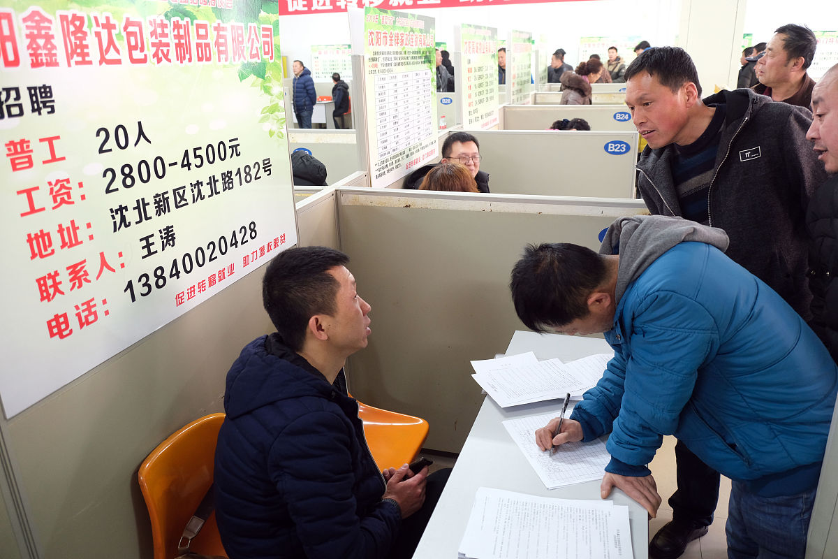 网络公司社会实践心得：800字实录与职业规划