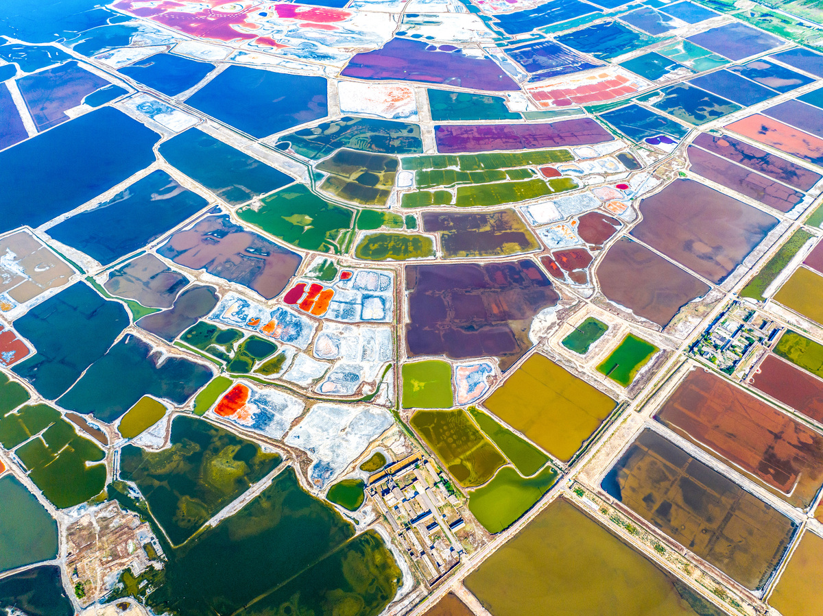 陆业是什么意思_词语陆业的意思