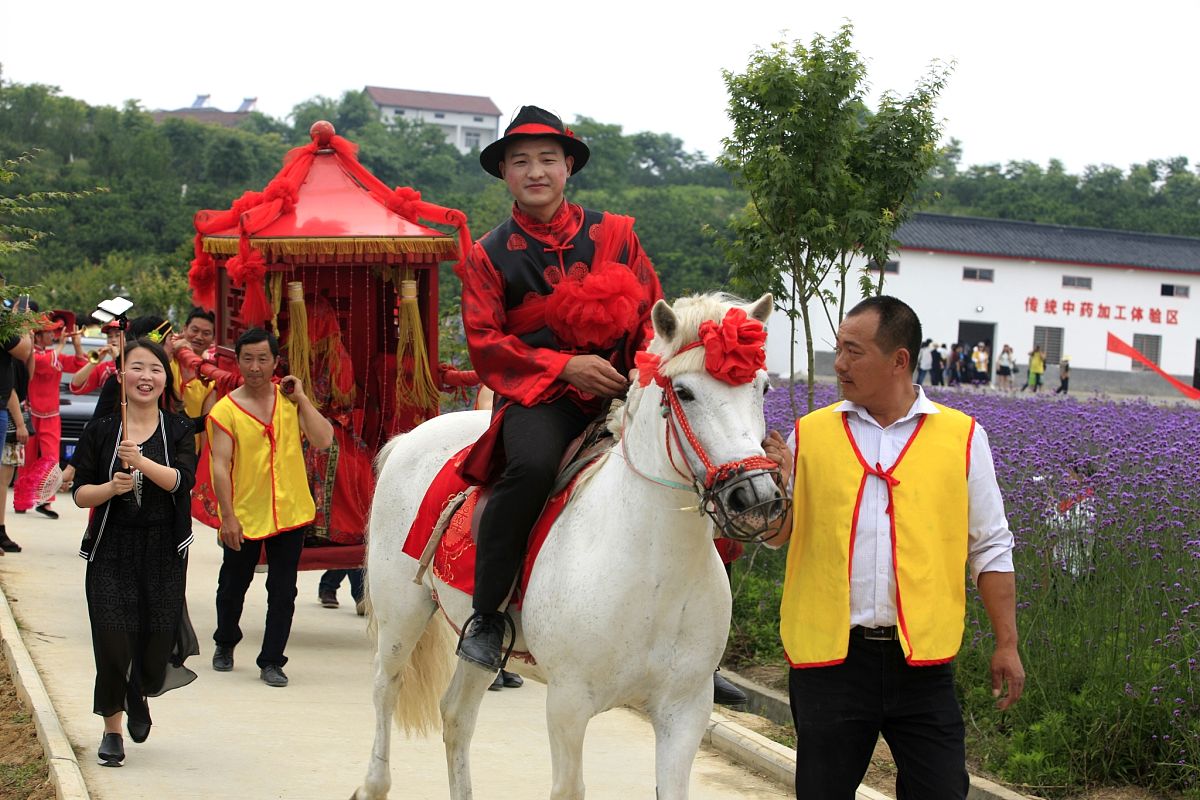 湖北科技职业学院电子商务专业怎么样