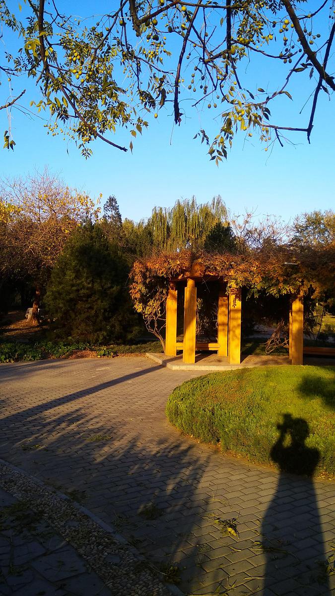 邢台2022年卫校和职高哪个好