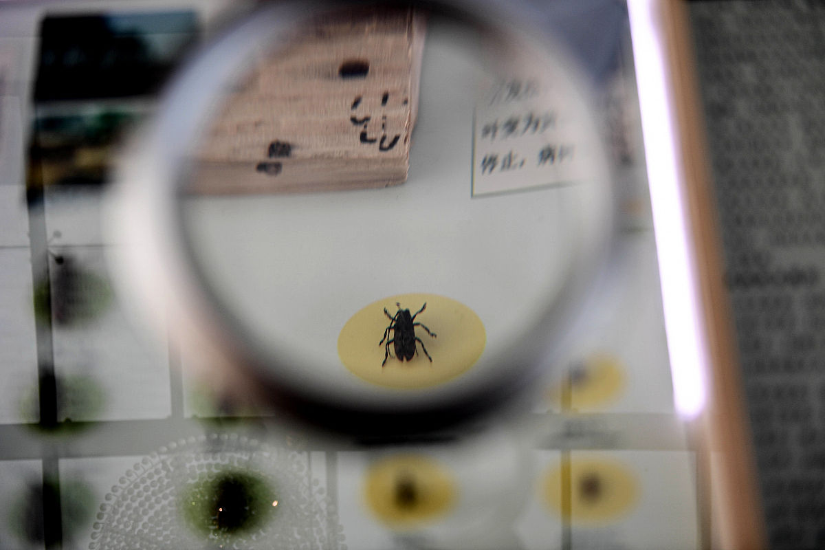 沈阳医学院附属卫生学校咨询电话及招生信息【2022最新】