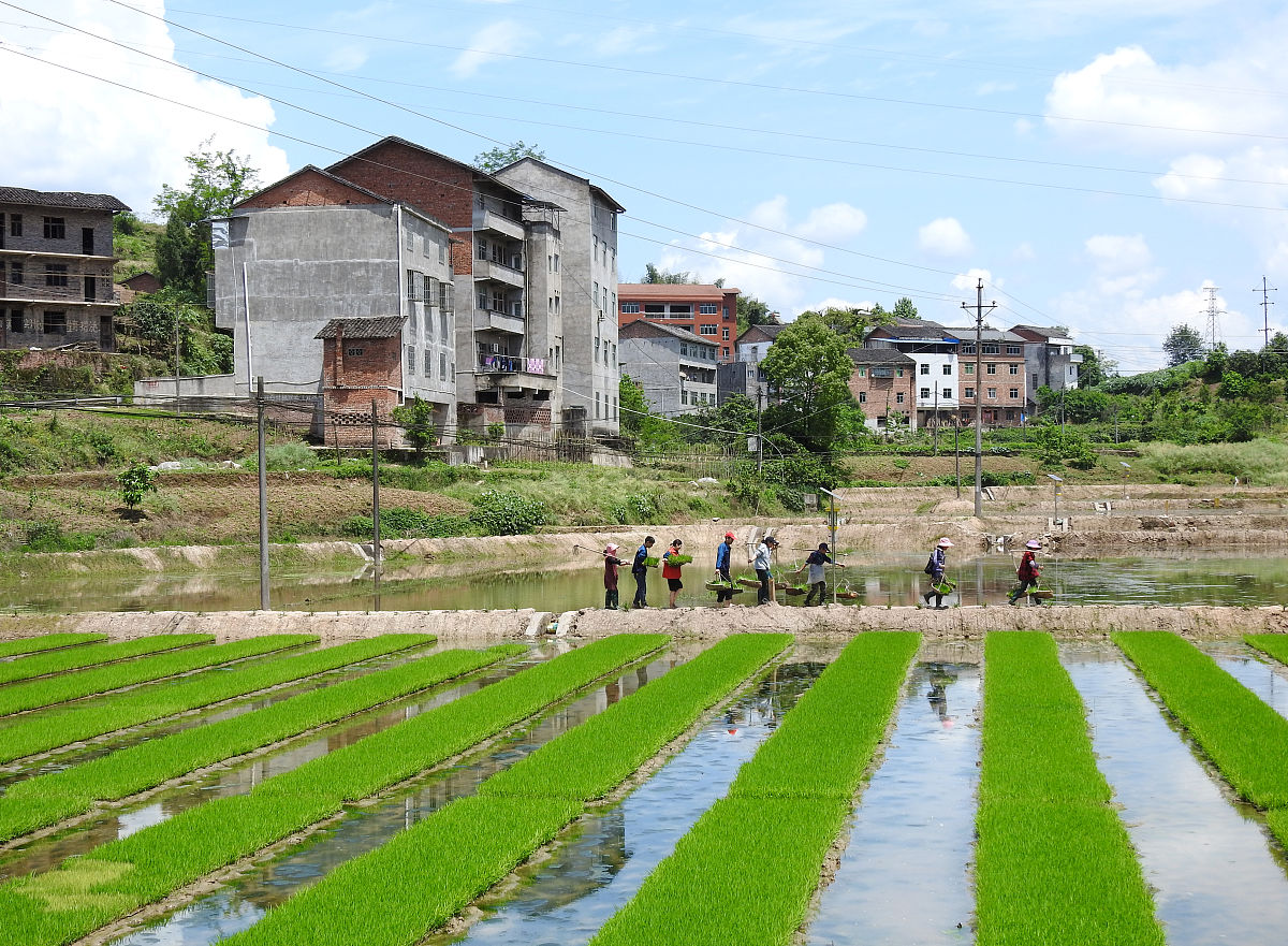 四川省达州市水电学校2021年招生专业有哪些
