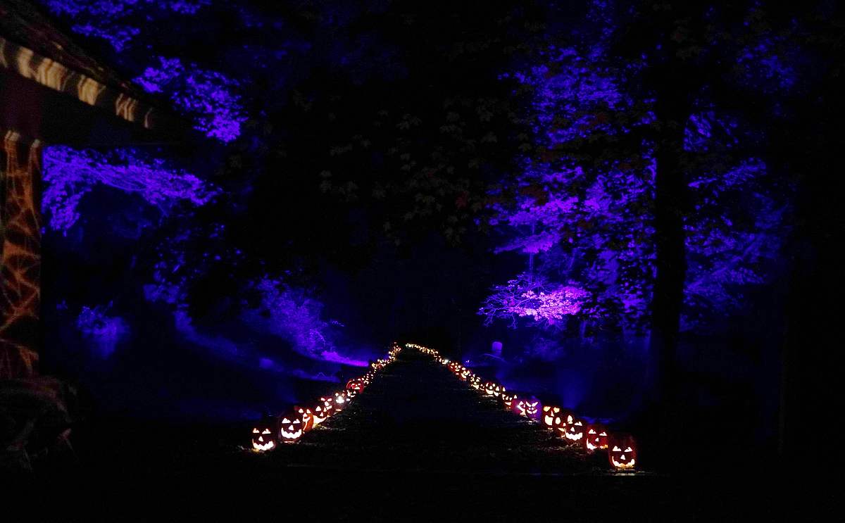 如何用更简洁的语言描述建筑工程等级、使用年限、结构形式和抗震设防？