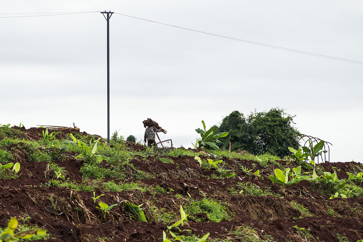 如何定义如下的公式：可收获的面积作物种植面积