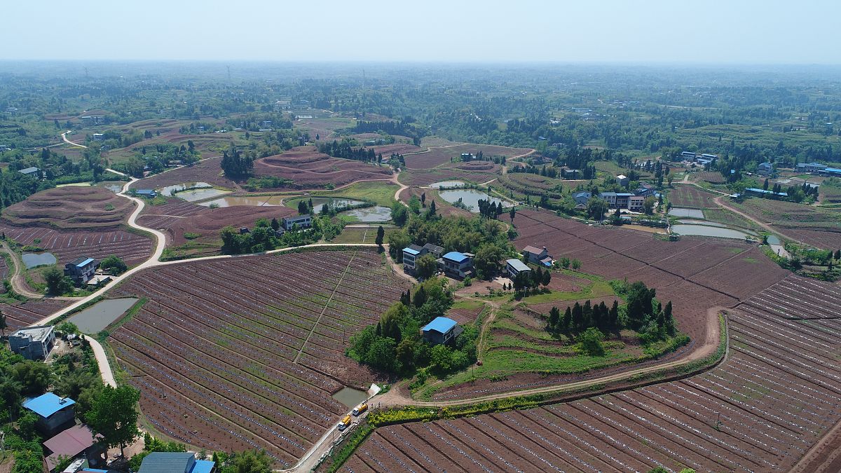 阳曲县农业技术学校2023年有哪些专业