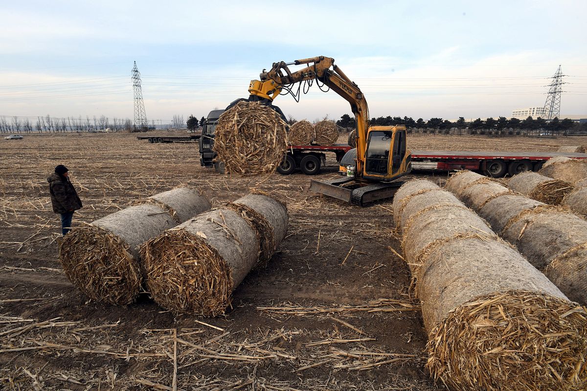 在玉米秸秆进行资源化利用时首先用碱液对其预处理的意义是什么