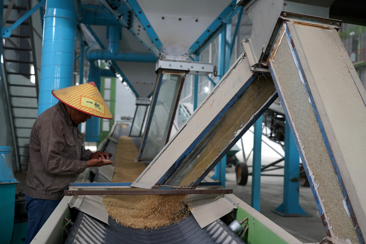小麦粉生产工艺：从小麦到面粉的完整过程