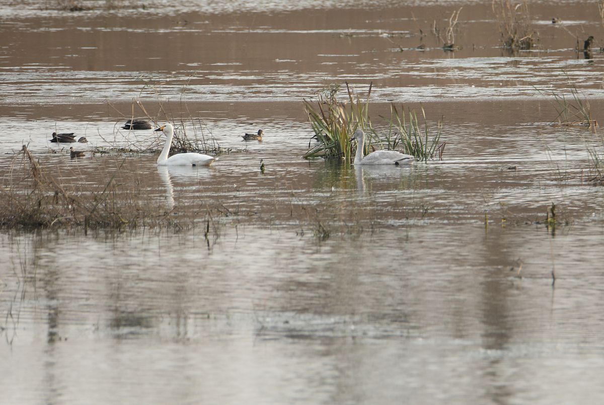 贵州轻工职业技术学院2020年专业设置：热门专业一览