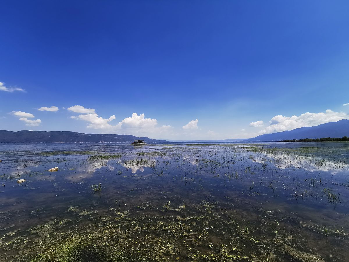 科技小院学生漫步洱海：如何用科技守护美丽湖泊？