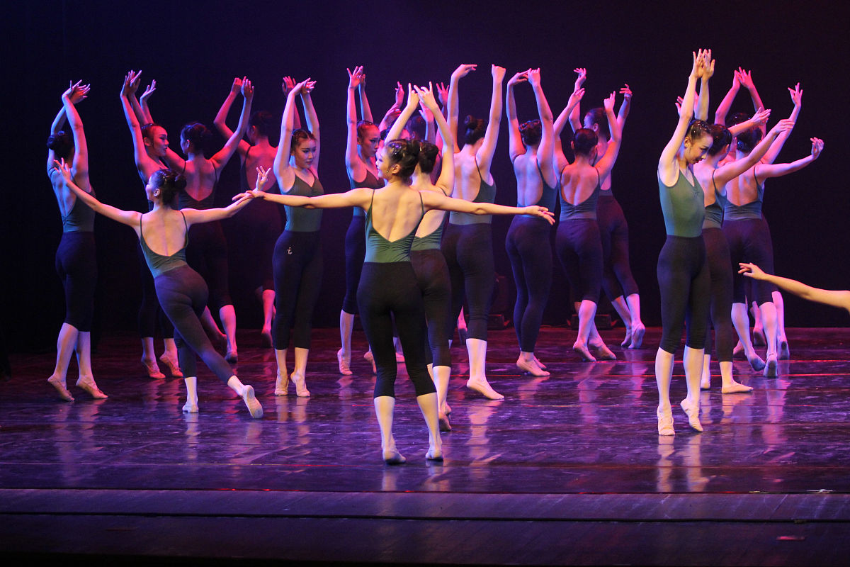 黑龙江艺术职业学院：优势、劣势及专业选择