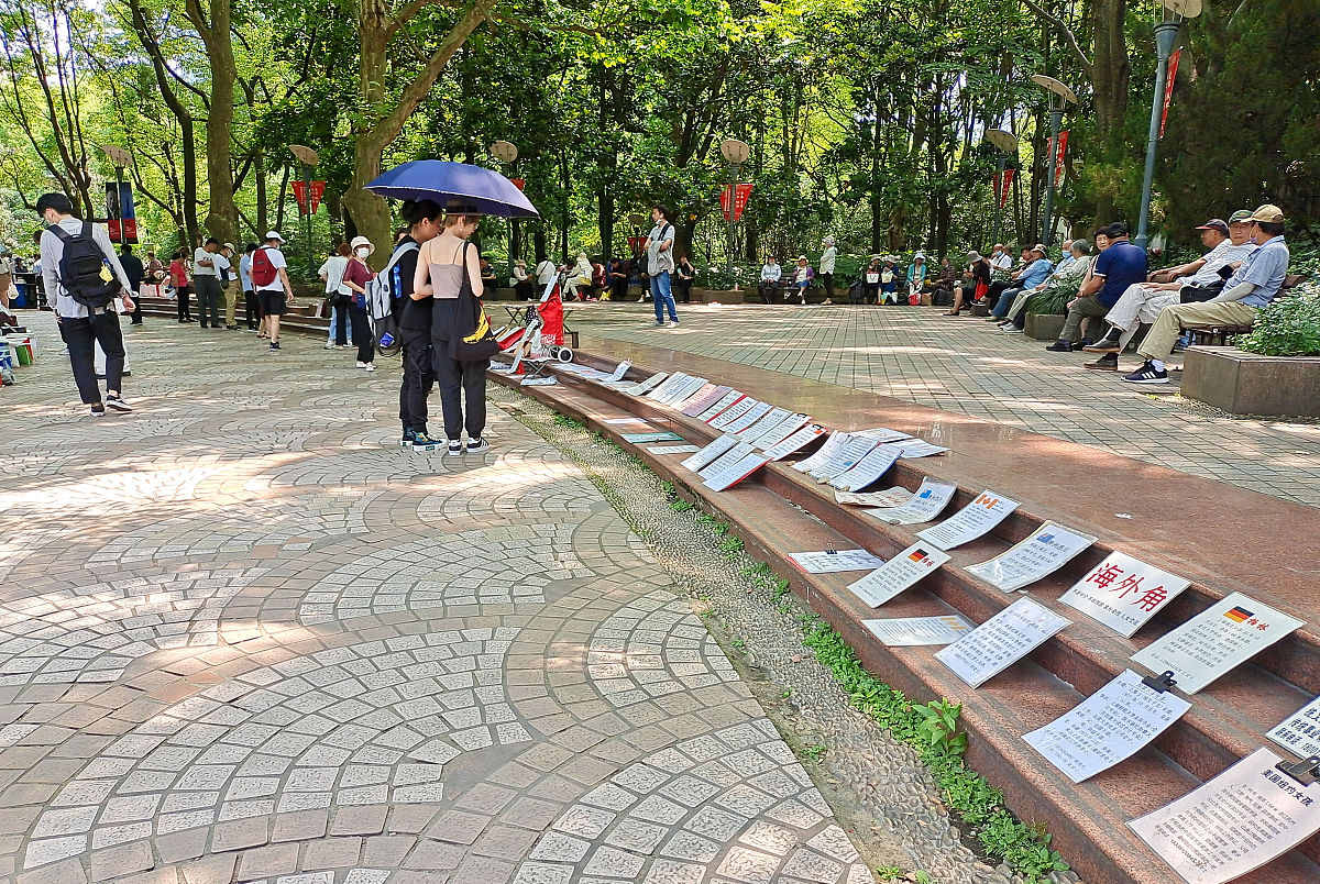 玉壶公园路人随机调研：了解大众需求