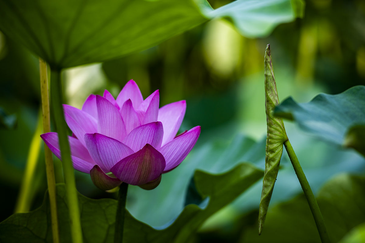 晋州职业技术中学2021年招生专业：机电、电子、建筑、财经等