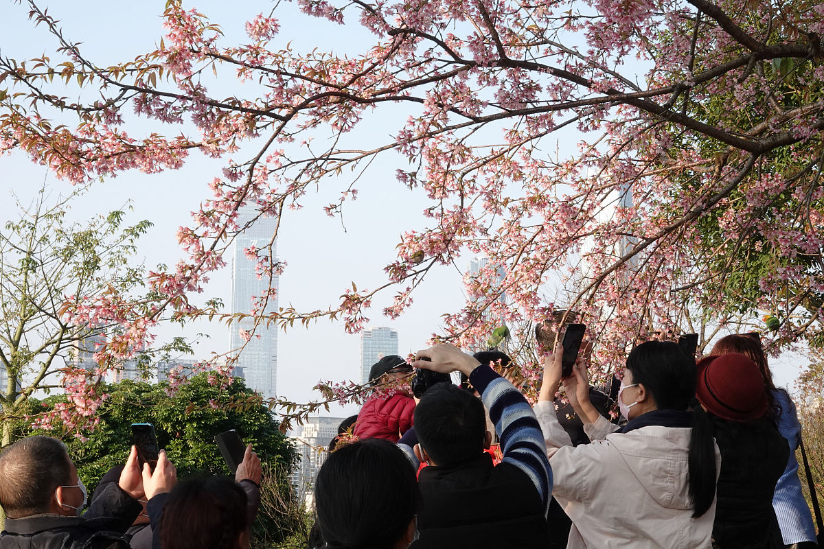 南宁2022年初中生能读的卫校