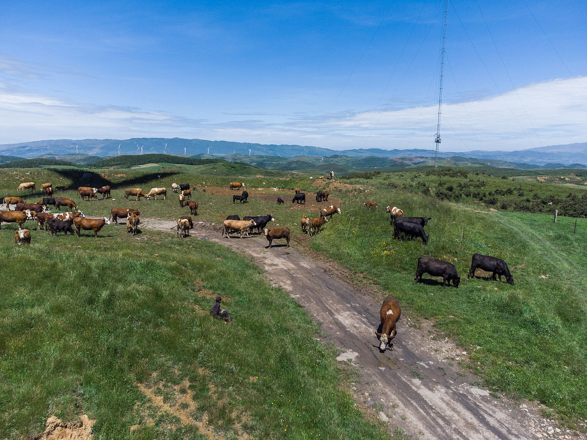 2021年贵州经贸学校招生简章