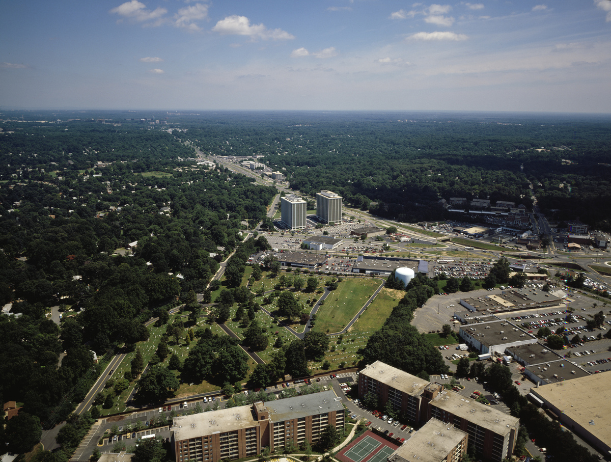 帮我用英语写：铬元素的毒性很大程度上由其价态决定，与六价铬相比，三价铬相对较为安全，因此分析沉淀物中Cr的价态分布十分重要。