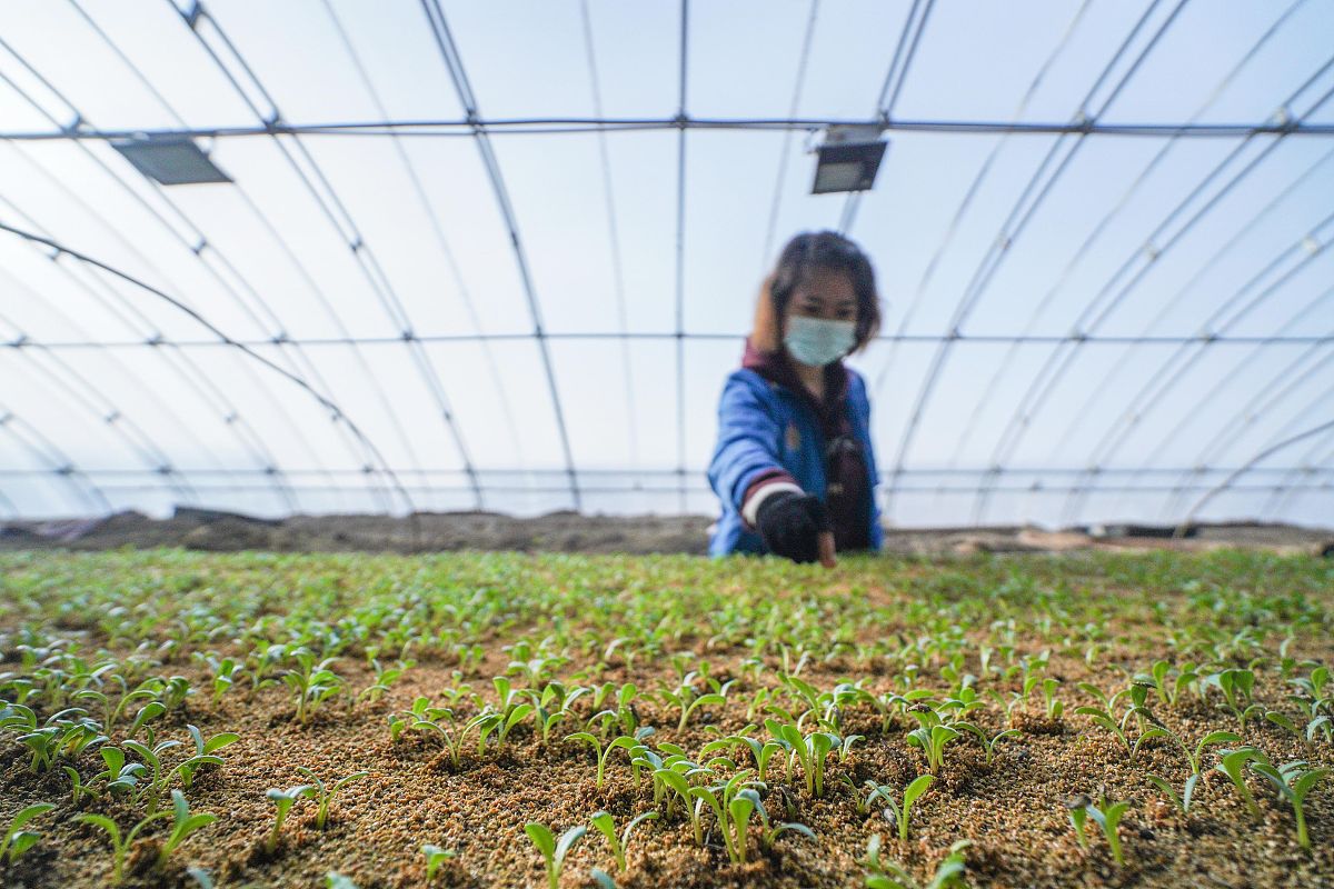 重庆园林技工学校2022年招生简章