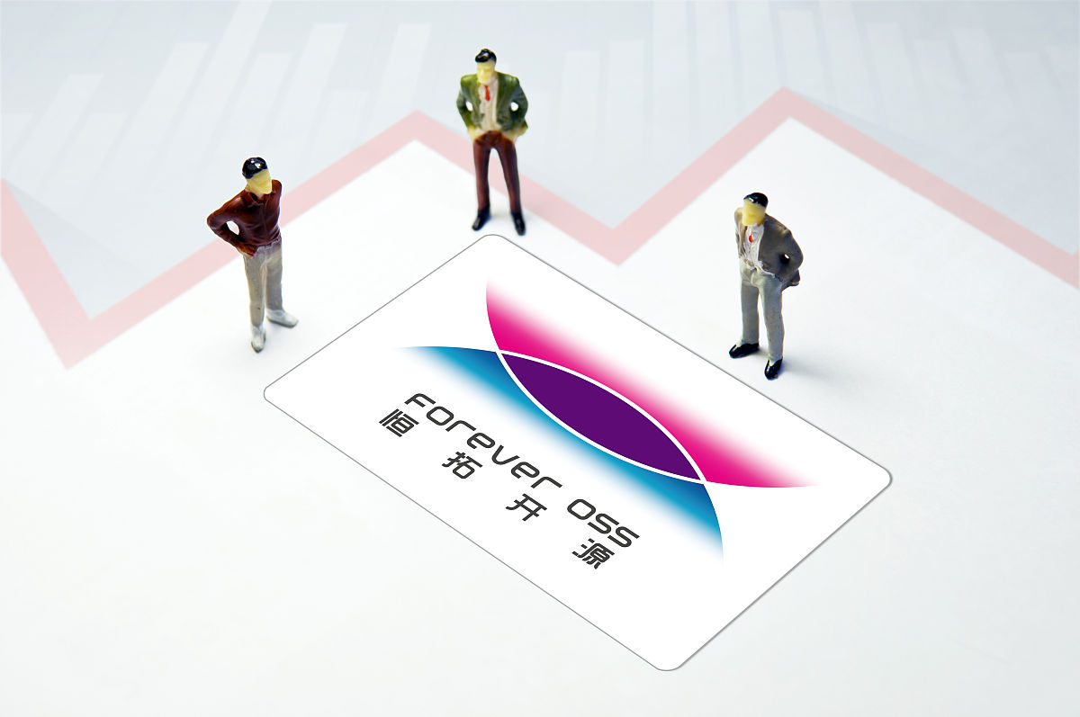 电子政务是一种依托于信息化和网络技术的工作它既要求具备较高的专业技术能力也要求具备一定的政府工作程序和业务知识。长期以来我国政府机关内部难以培养出一批复合型人才而从外部招聘也是远水救不了近火。想要组建一支拥有战斗力、稳定的团队几乎是不可能的事情即使有也是极为罕见的往往会出现后继无人的尴尬局面。政府缺少专业的技术支撑很可能会让政府陷入信息不对称的境地被一些技术实力强、资金雄厚、影响力大的 IT公司借